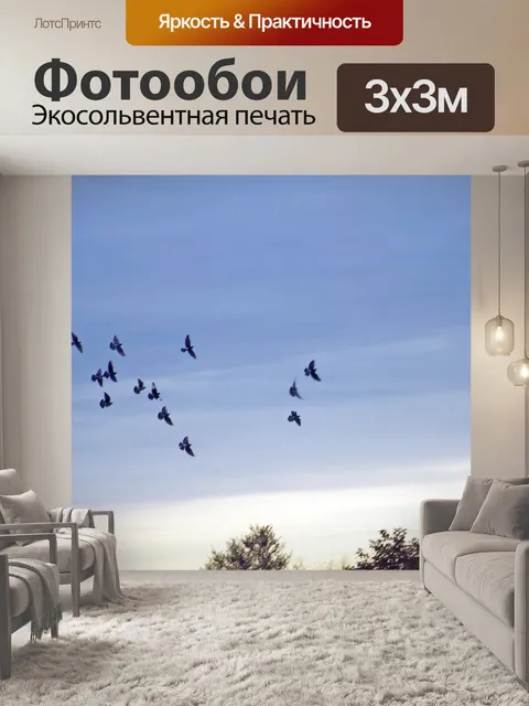 Фотообои Птицы