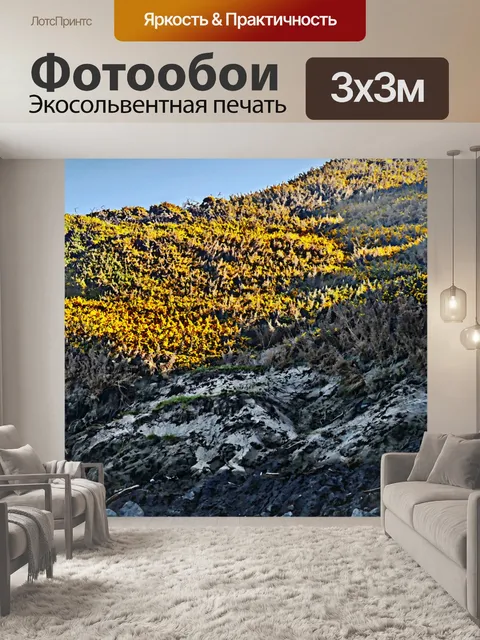 Фотообои Холм Желтые Полевые цветы