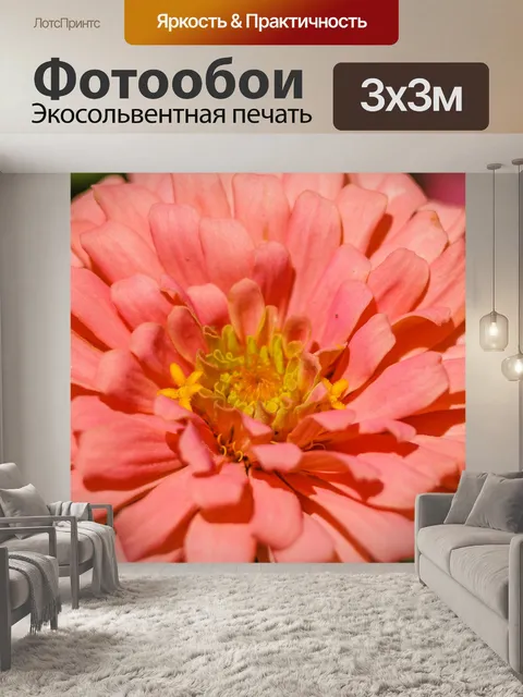 Фотообои красочный цветок макро выстрел