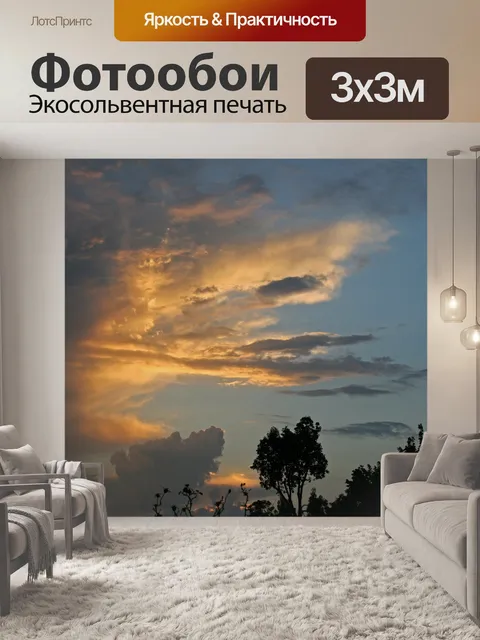 Фотообои Деревья с закатом