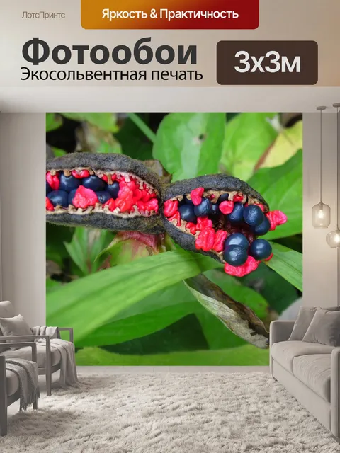 Фотообои Странный