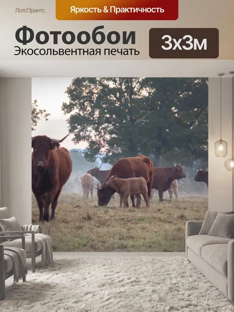 Фотообои Корова
