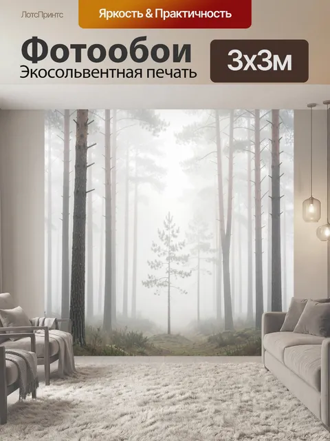 Фотообои Туманный сосновый лес