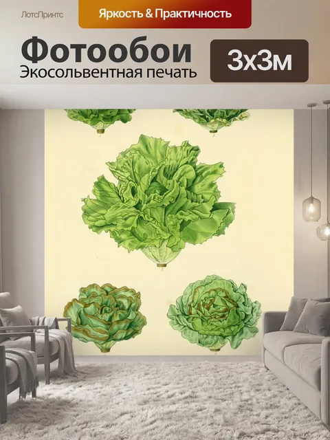 Фотообои Сад овощи винтаж старый