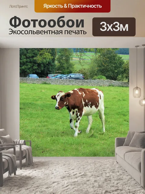 Фотообои Корова