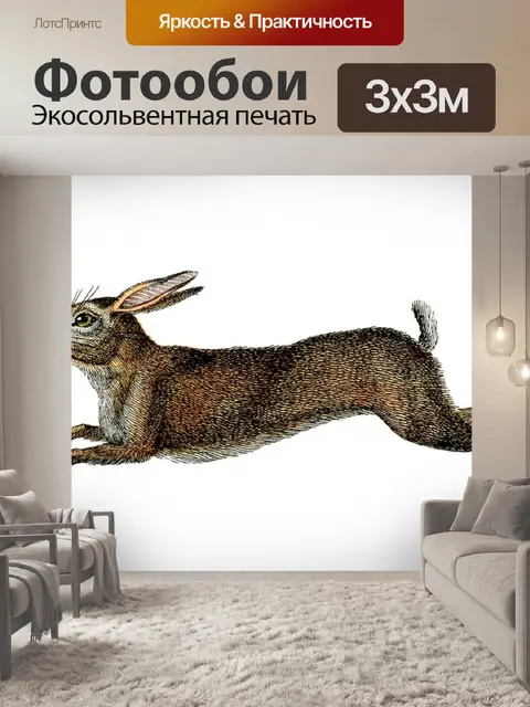 Фотообои Винтажный арт-кролик