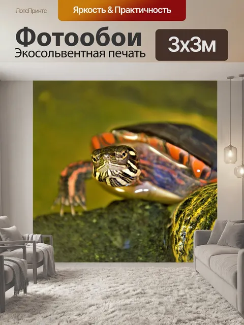 Фотообои Маленькая черепашка