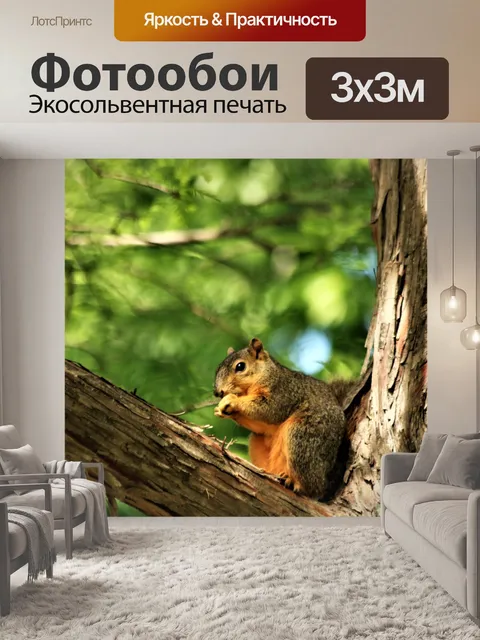 Фотообои Белка лисы в дереве