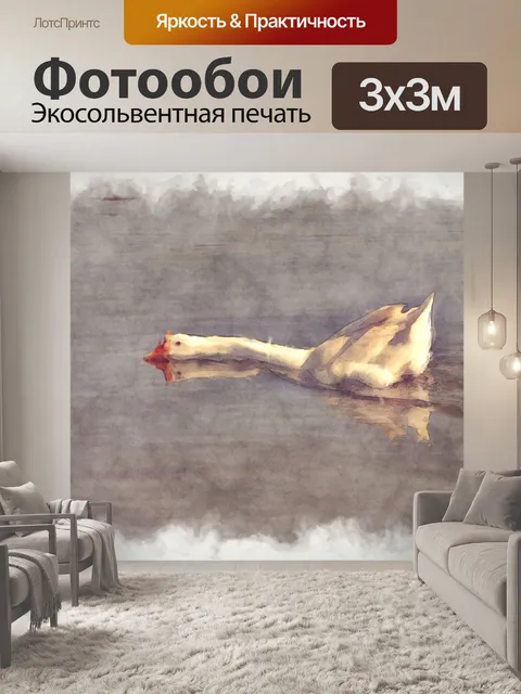 Фотообои плавание лебедя