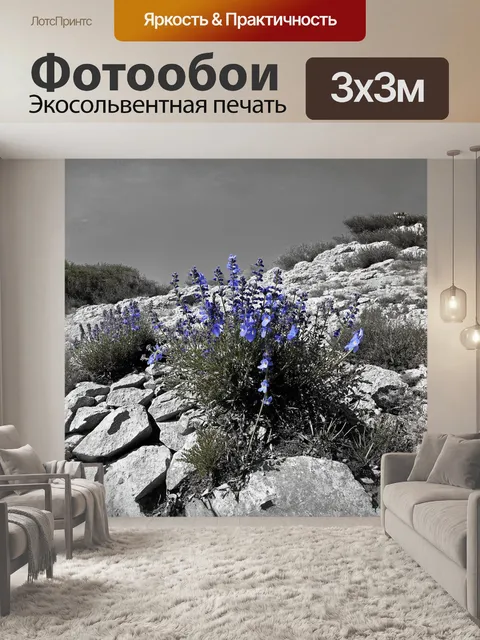 Фотообои перовския величественно растет на скалистом откосе