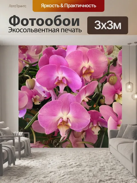 Фотообои Фиолетовые Орхидеи