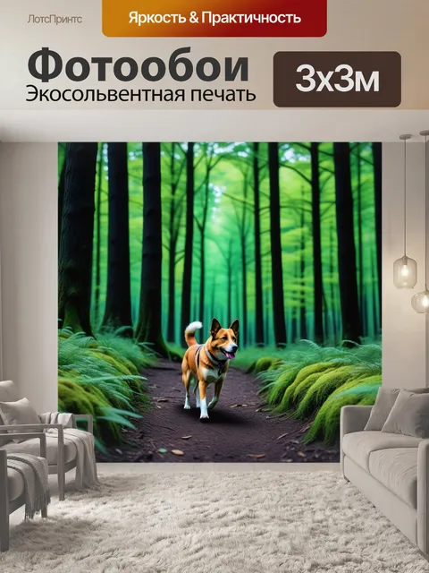 Фотообои лесная прогулка с собакой
