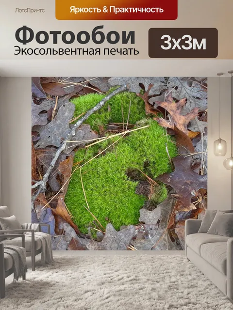 Фотообои Зеленый мох на лесном полу
