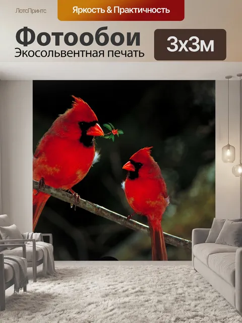 Фотообои Кардиналы