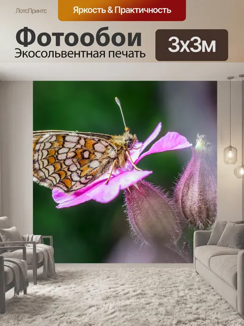 Фотообои Маленькая жемчужина-граничит рябчик