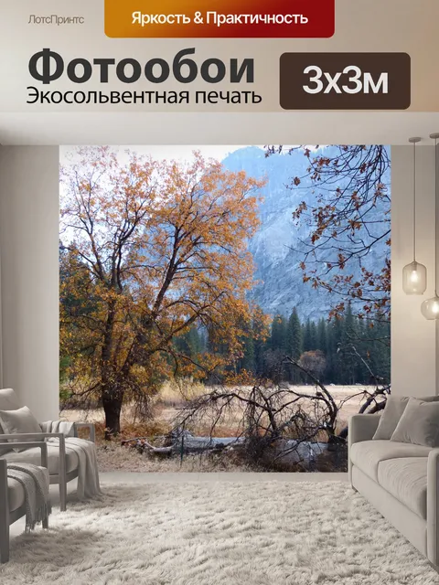 Фотообои Падение Деревья