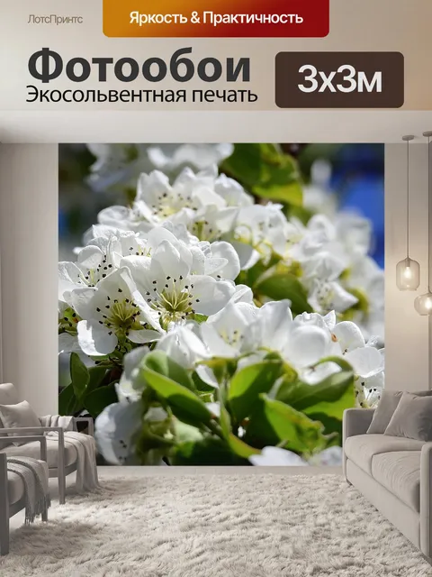 Фотообои Цветы