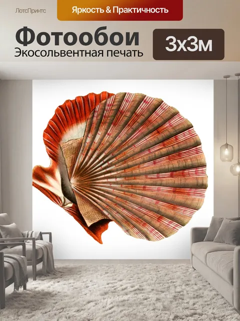 Фотообои Seashell house винтажное искусство