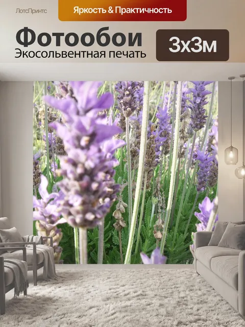 Фотообои Лаванда крупным планом