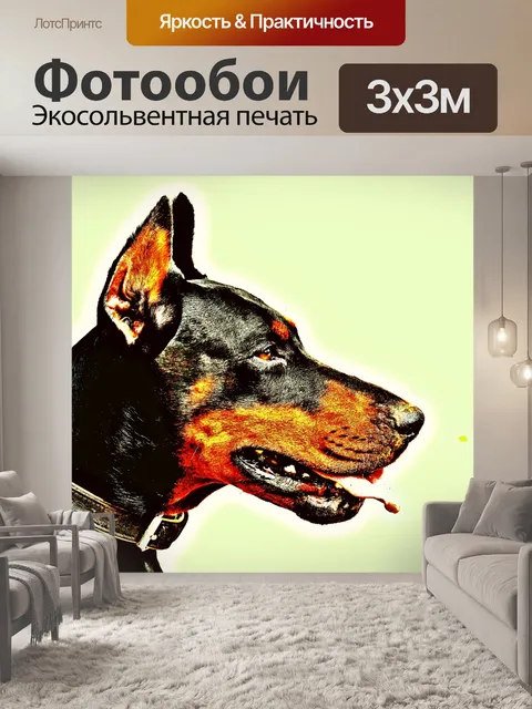 Фотообои Доберман Пинчер
