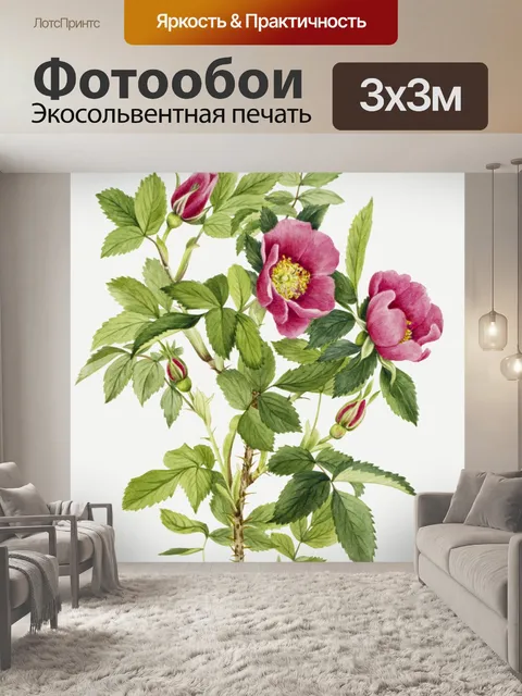 Фотообои Шиповник цветок старинное искусство