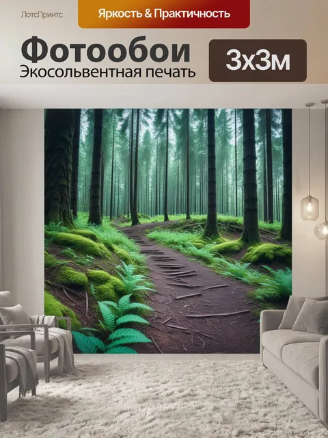 Фотообои велосипедные дорожки в лесу