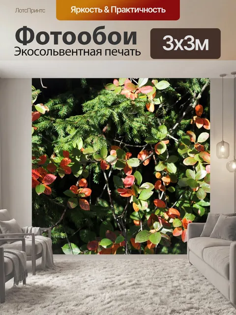 Фотообои Осень