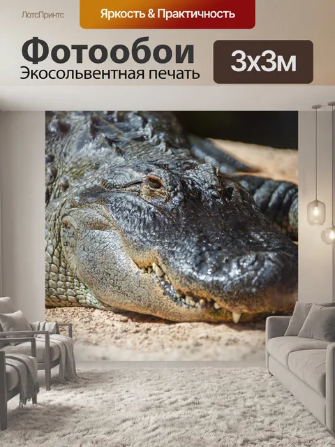 Фотообои Крокодил
