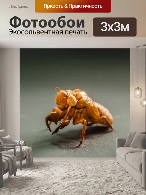 Фотообои коричневая цикада