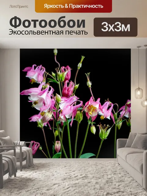 Фотообои Цветы, бутоны, минимализм