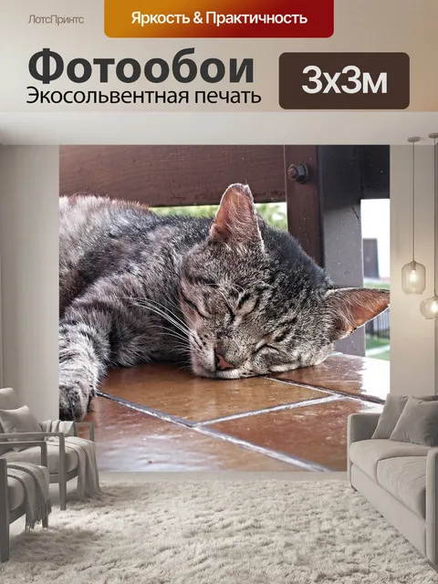 Фотообои Кот