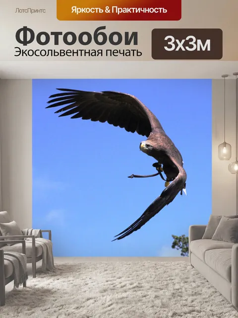 Фотообои Свободный полет