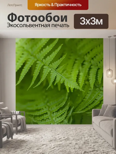 Фотообои Папоротник
