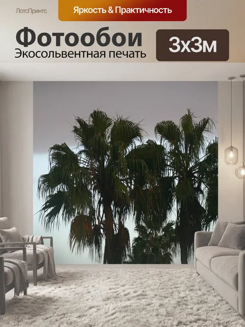 Фотообои Пальмы
