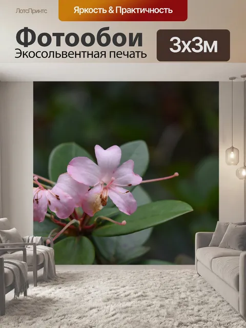 Фотообои Нежный розовый цветок тропического леса