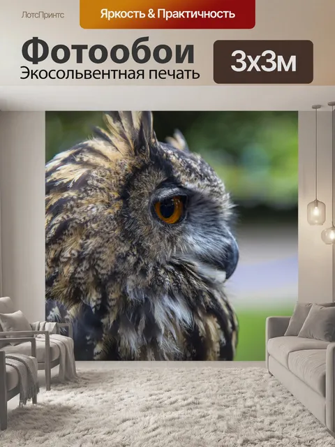 Фотообои Птица - Сова