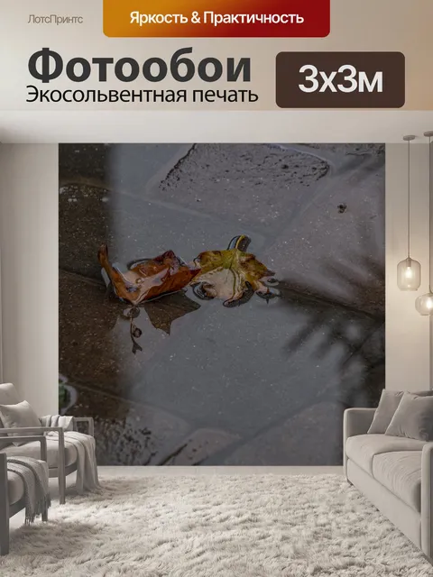 Фотообои Листья в луже