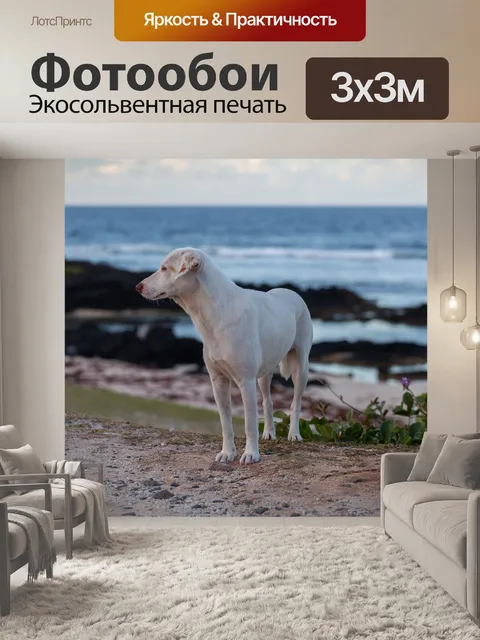 Фотообои Бродячие собаки на пляже
