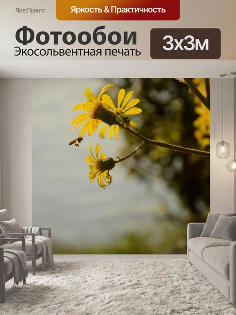 Фотообои Осенние хризантемы