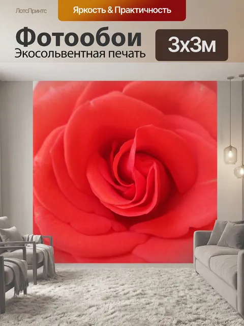 Фотообои Красная роза