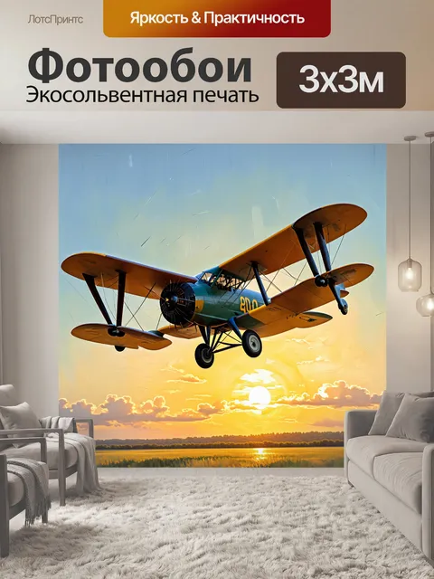 Фотообои сцена с историческим бипланом