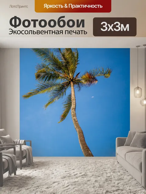 Фотообои Кокос