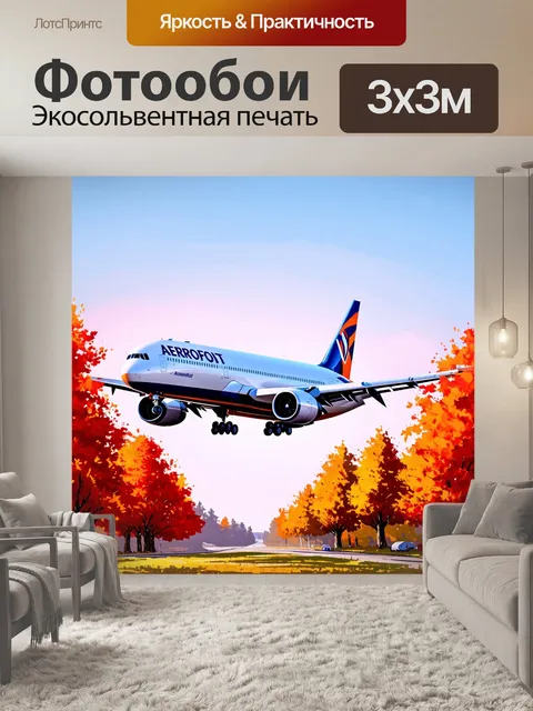 Фотообои спокойный момент посадки боинга аэрофлота