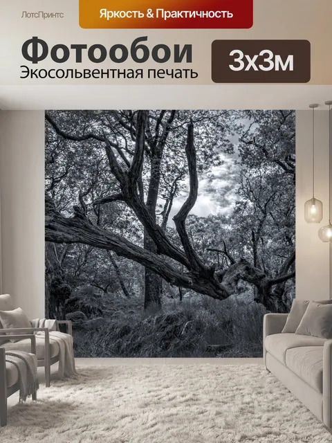 Фотообои Дикий лес