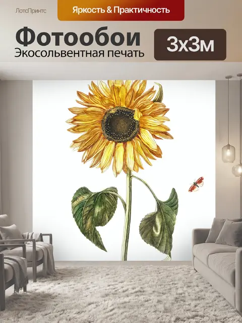 Фотообои Винтаж бабочка подсолнечника