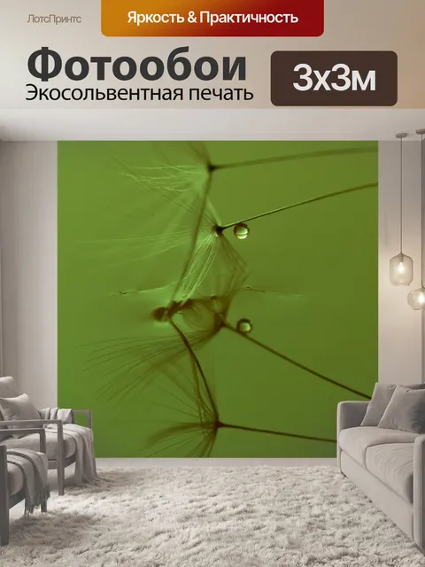 Фотообои Одуванчик семян