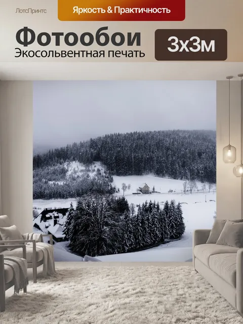 Фотообои Черный лес