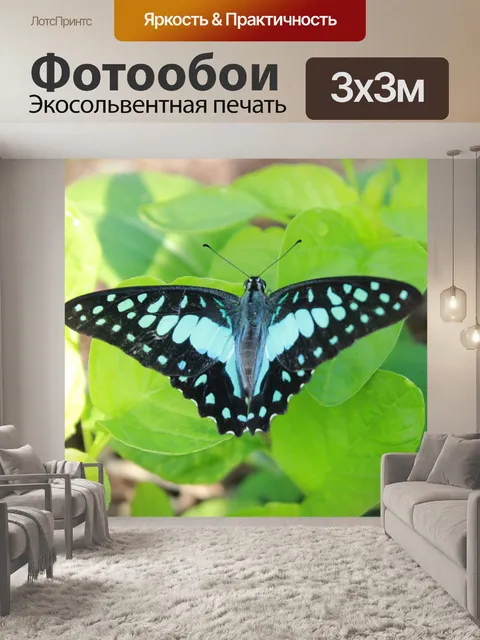 Фотообои Голубая бабочка
