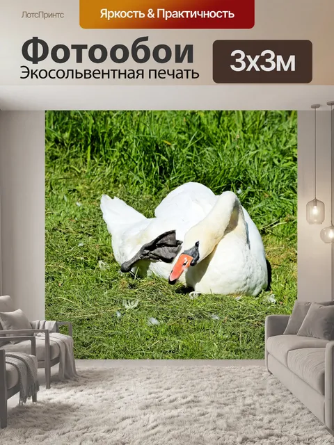 Фотообои Лебеди