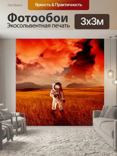 Фотообои Астронавт